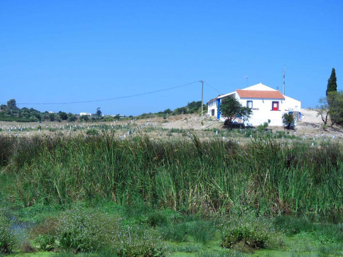 Vale Do Boto-Quinta Com 3 Casas Villa Castro Marim Exteriör bild